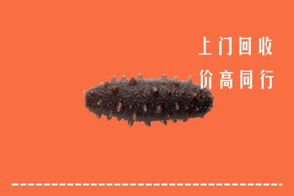 高价求购：岢岚县回收海参