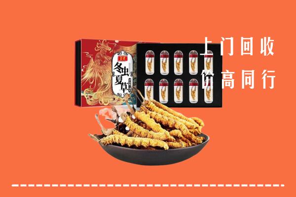 岢岚县回收虫草